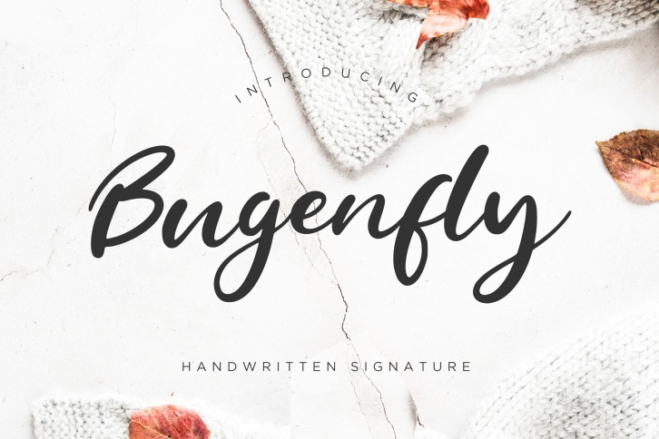 Bugenfly Handwritten Signature Font Download
