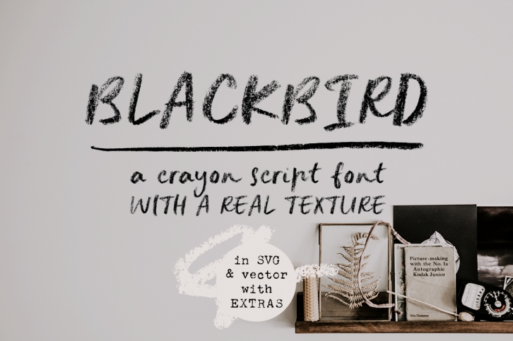 Blackbird crayon script SVG font Font Download