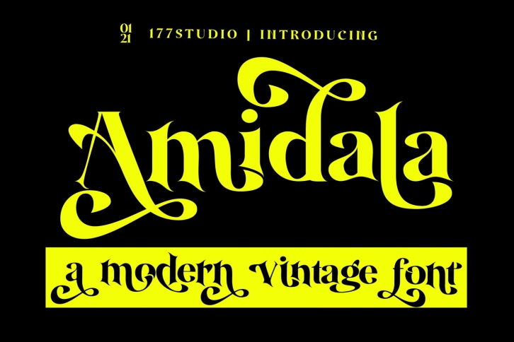 Amidala - Classy Serif Font Font Download