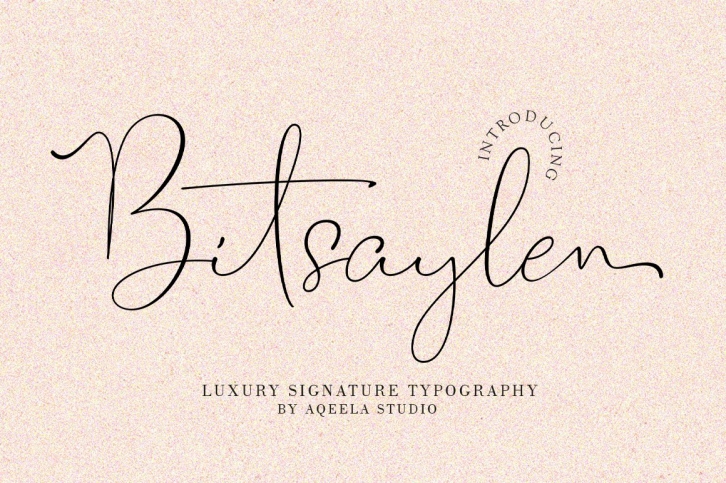 Bitsaylen Font Download