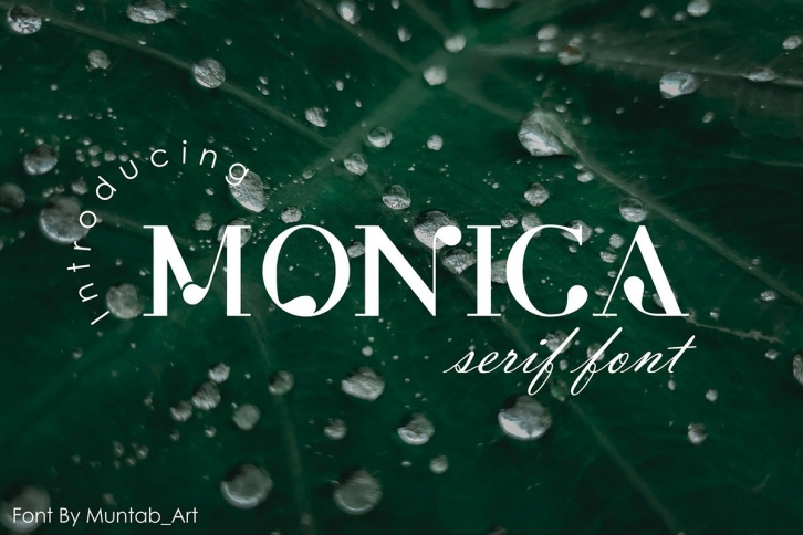 Monica | Modern Serif font Font Download