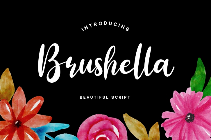 Brushella - Beautiful Script Font Download