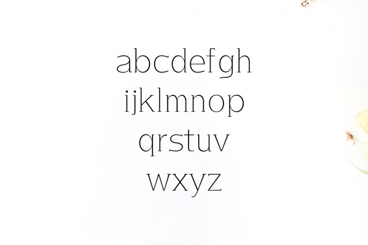 Lisandro Slab Serif Font Font Download