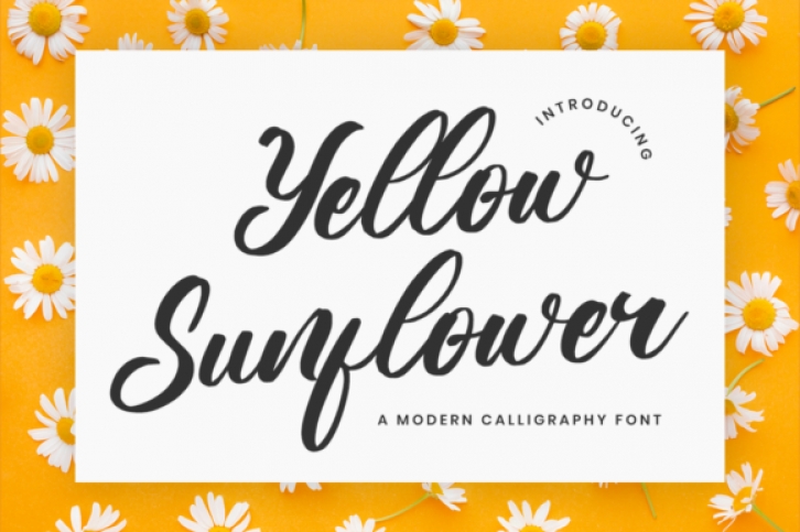 Yellow Sunflower Font Download