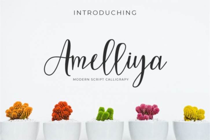 Amelliya Font Download