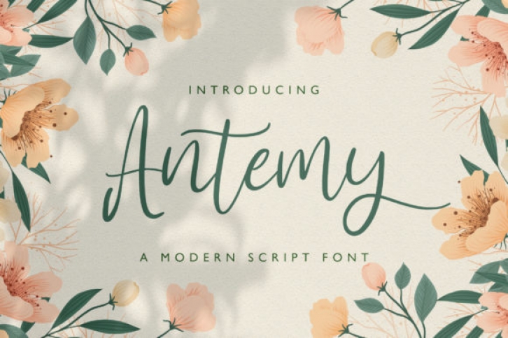 Antemy Font Download