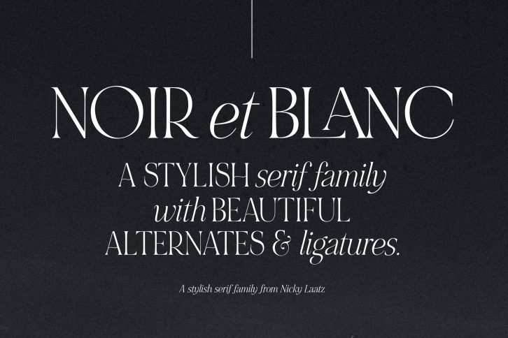 NOIR et BLANC Stylish Serif Font Download