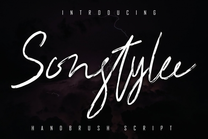Sonstylee Handbrush Font Font Download