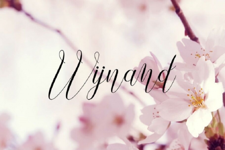 Wijnand Font Download