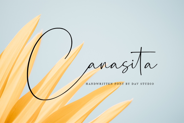 Canasita - Script Handwritten Font Font Download