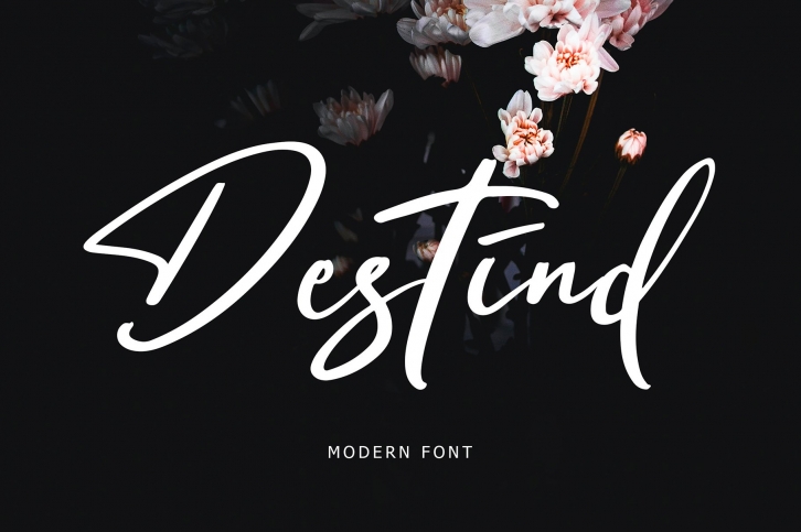 Destind Modern Font Font Download