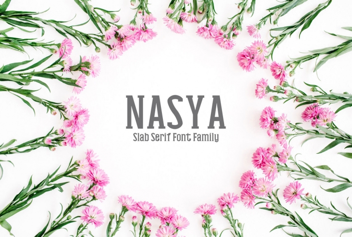Nasya Slab Serif 4 Font Family Pack Font Download