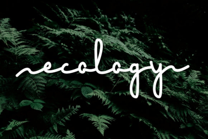 Ecology Font Download