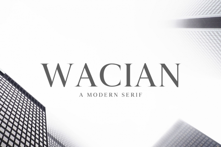 Wacian Serif Font Family Font Download
