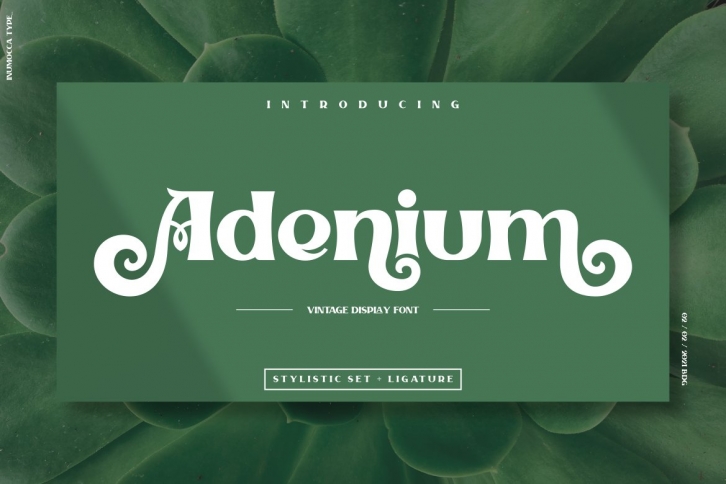 Adenium Font Download