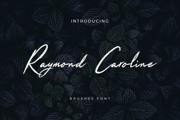 Raymond Caroline Handwritten Font Download