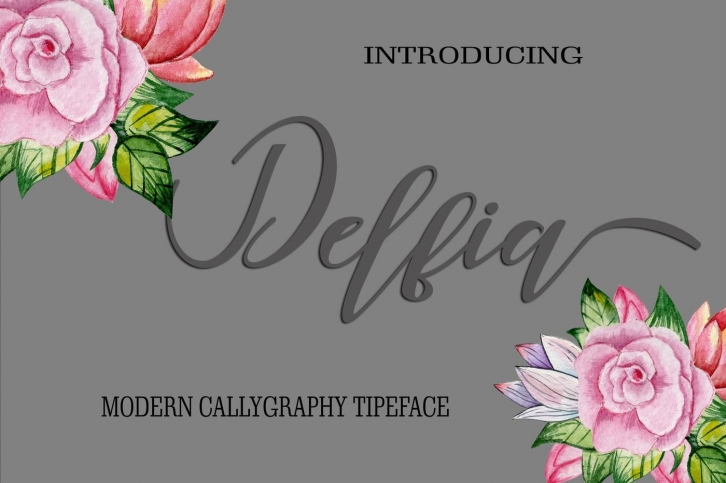 Delfia Scrip Font Download