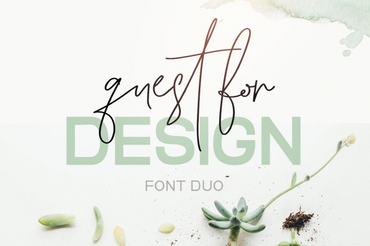 Quest for Design Font Duo Font Download