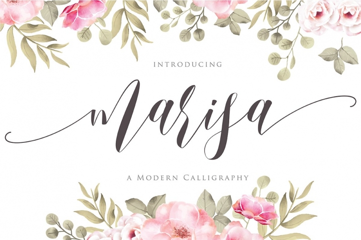 marisa Script Fonts Font Download