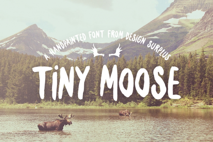 Tiny Moose Font Font Download