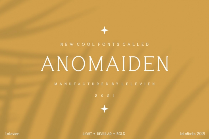 ANOMAIDEN MODERN SERIF FONT FAMILY Font Download