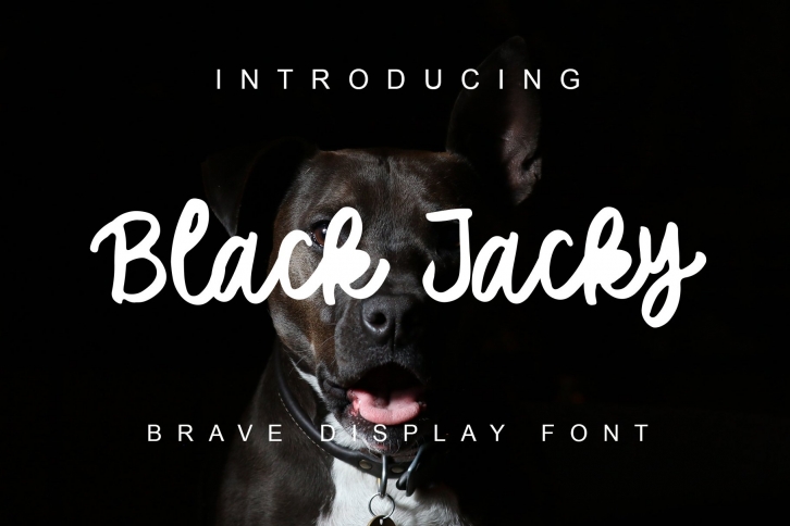 Black Jacky Cute Display Font Font Download