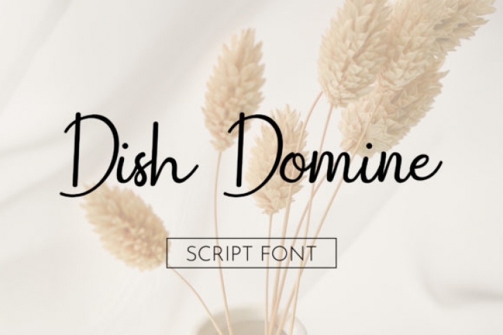 Dish Domine Font Download