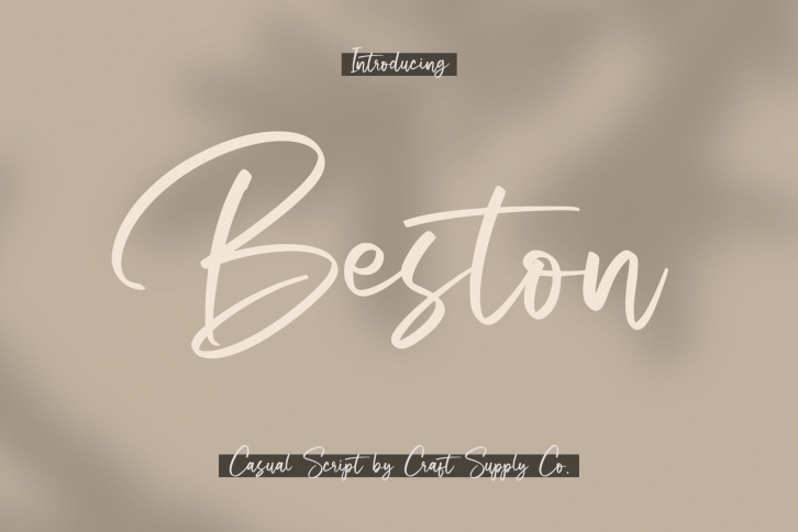 Beston - Casual Script Font Font Download