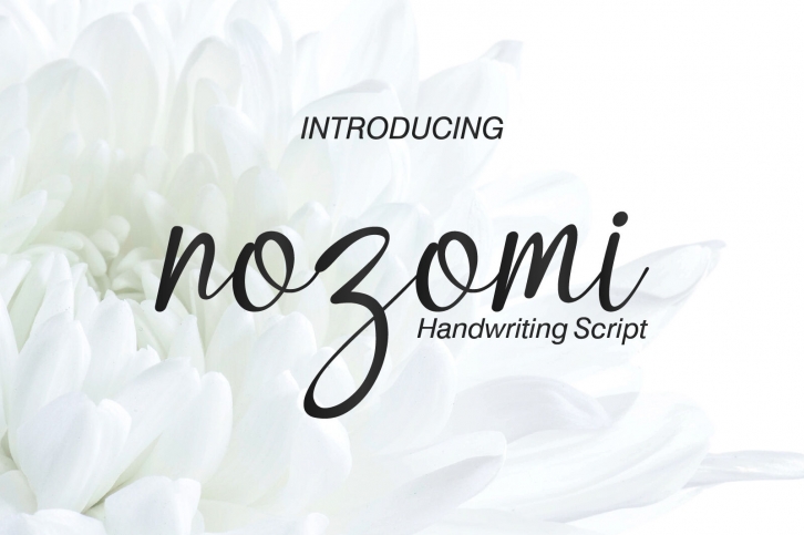 Nozomi Handwriting Script Font Download