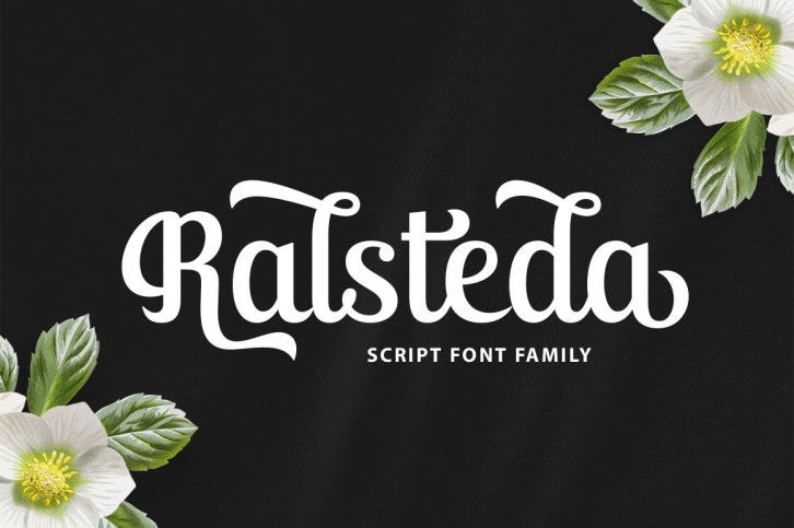 Ralsteda Script Font Family Font Download