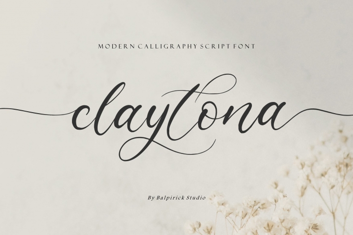 claytona Modern Calligraphy Script Font Font Download