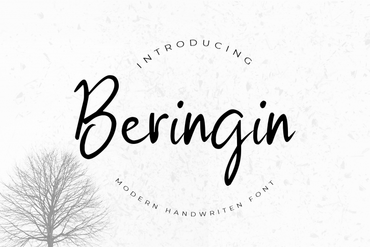 Beringi Font Download