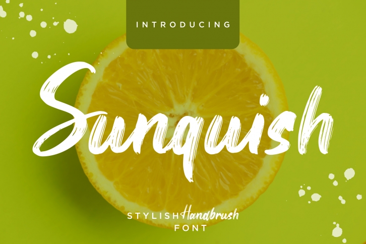 Sunquish Font Download