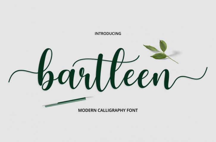 Bartleen Font Duo Font Download