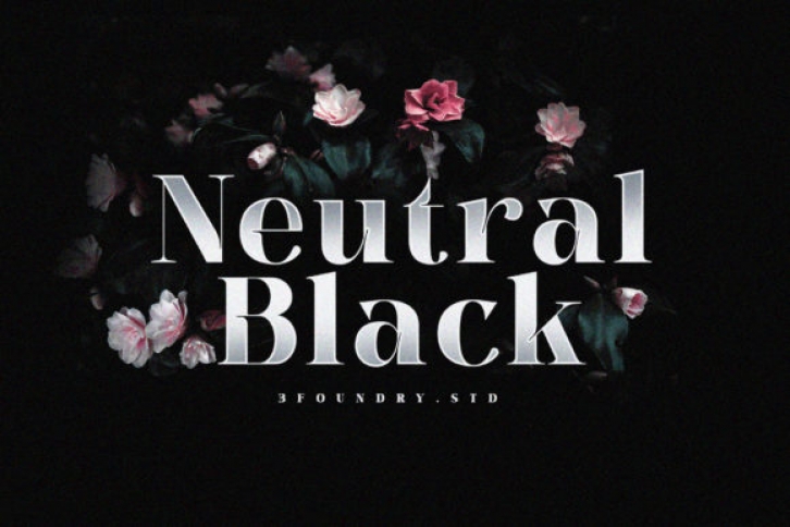 Neutral Black Font Download