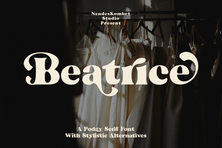 Beatrice - Retro Serif Font Download