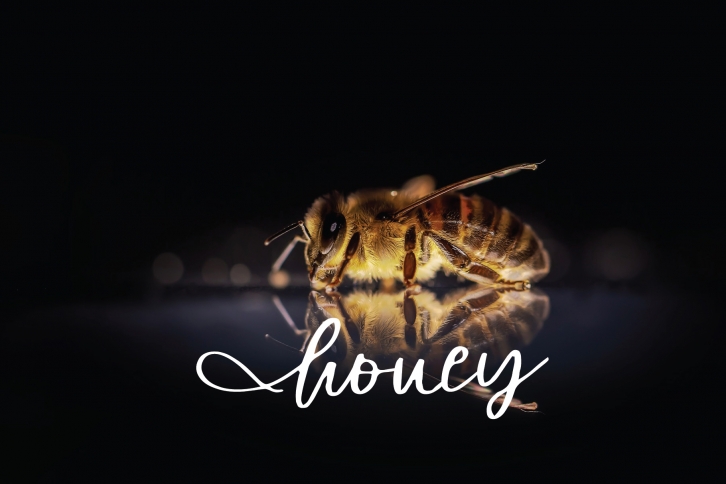 Honey Font Download