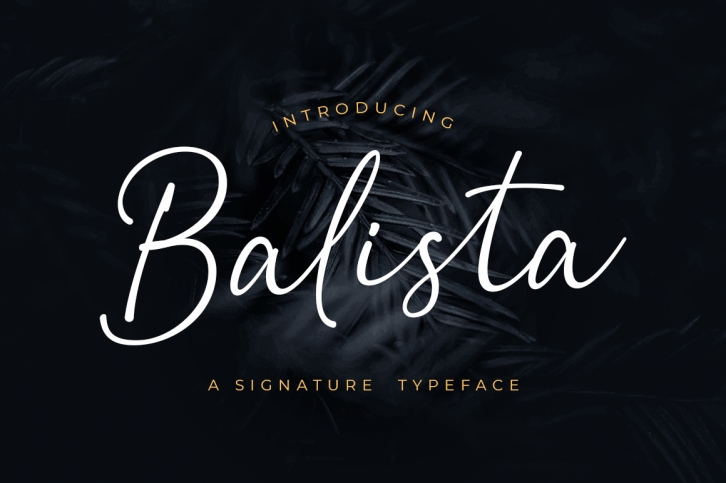 Balista - Signature Typeface Font Download