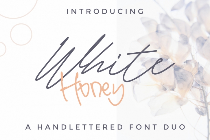 White Honey Font Download