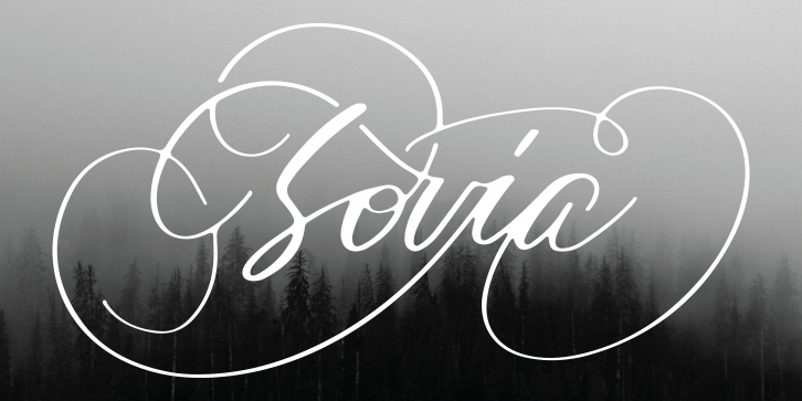 Expose Font Download