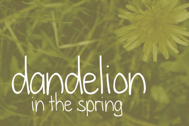 Dandelion in the Spring Font Font Download