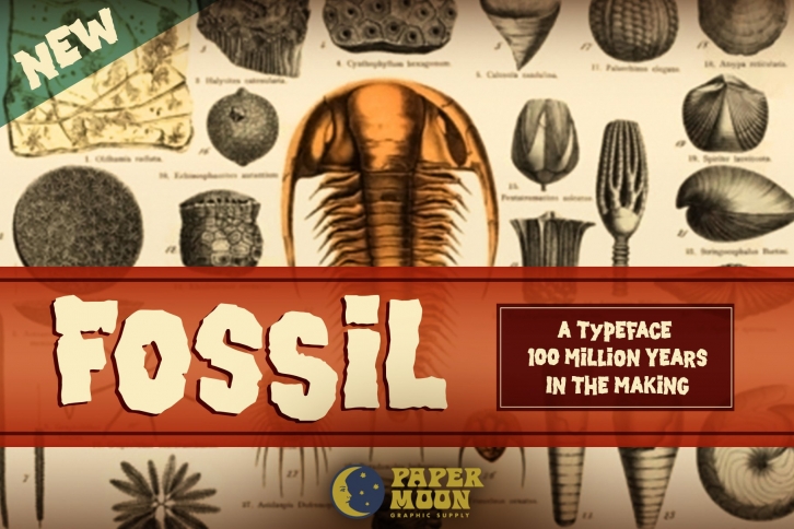 Fossil-Handmade  Bonus Posters Font Download