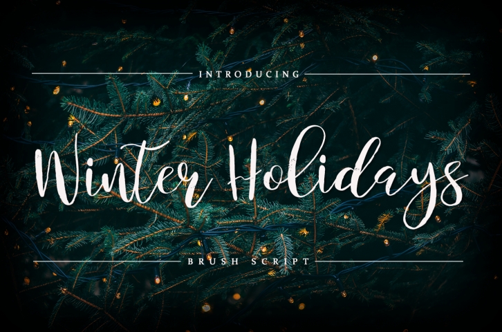 Winter Holidays - Brush Script Font Download