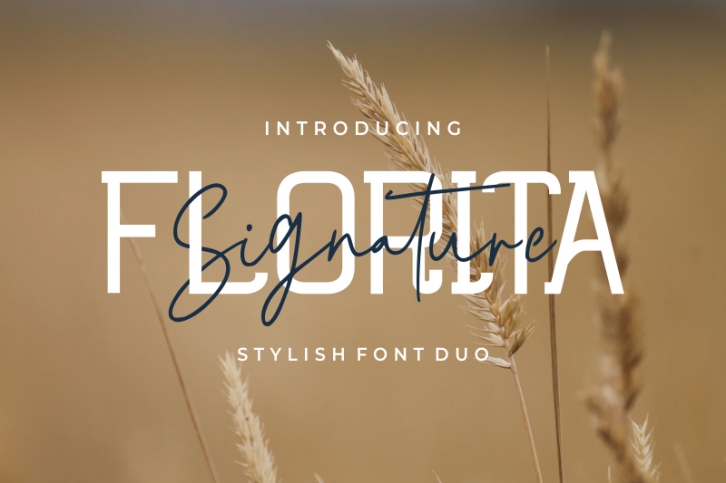 Florita Signature Font Download