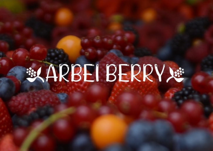 ARBEI BERRY Font Download