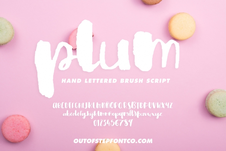 Plum Brush Scrip Font Download