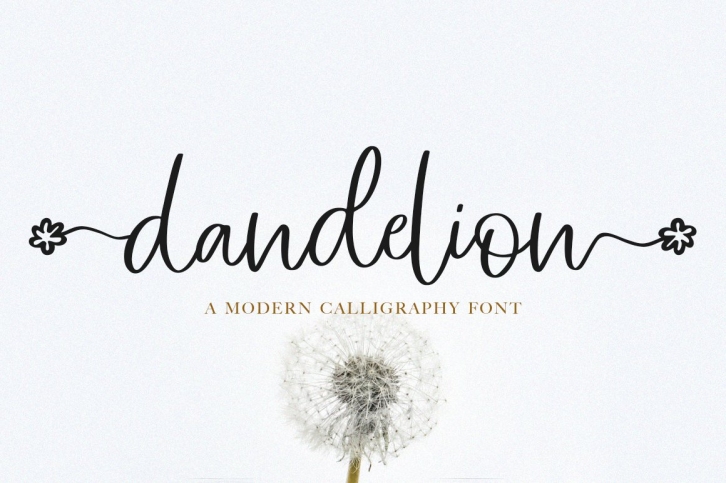 Dandelion Font Download