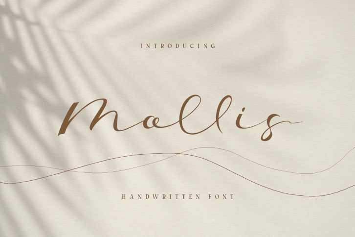 Mollis Font Download