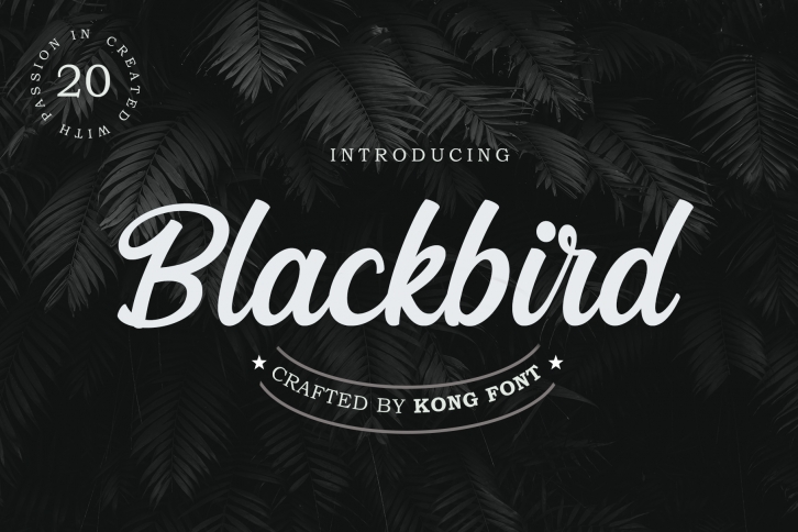 Blackbird Font Download