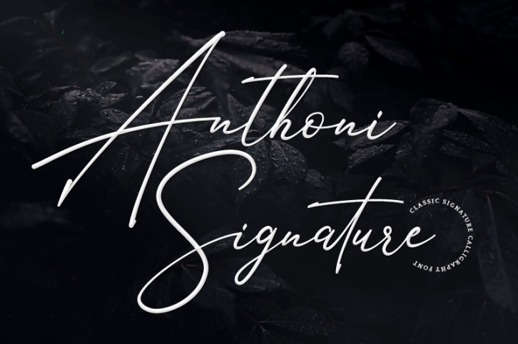 Anthoni Signature Font Download